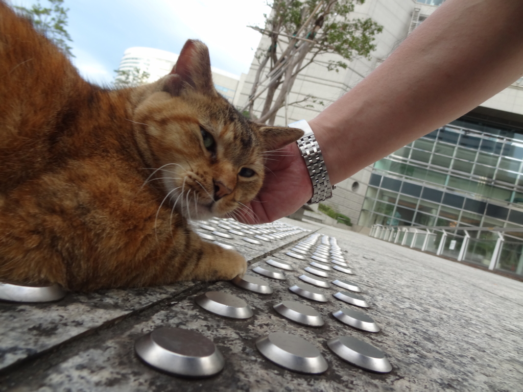 f:id:shigeo-t:20161001042603j:plain f:id:shigeo-t:20161001042603j:plain