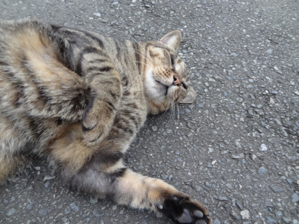 f:id:shigeo-t:20161001044819j:plain f:id:shigeo-t:20161001044819j:plain