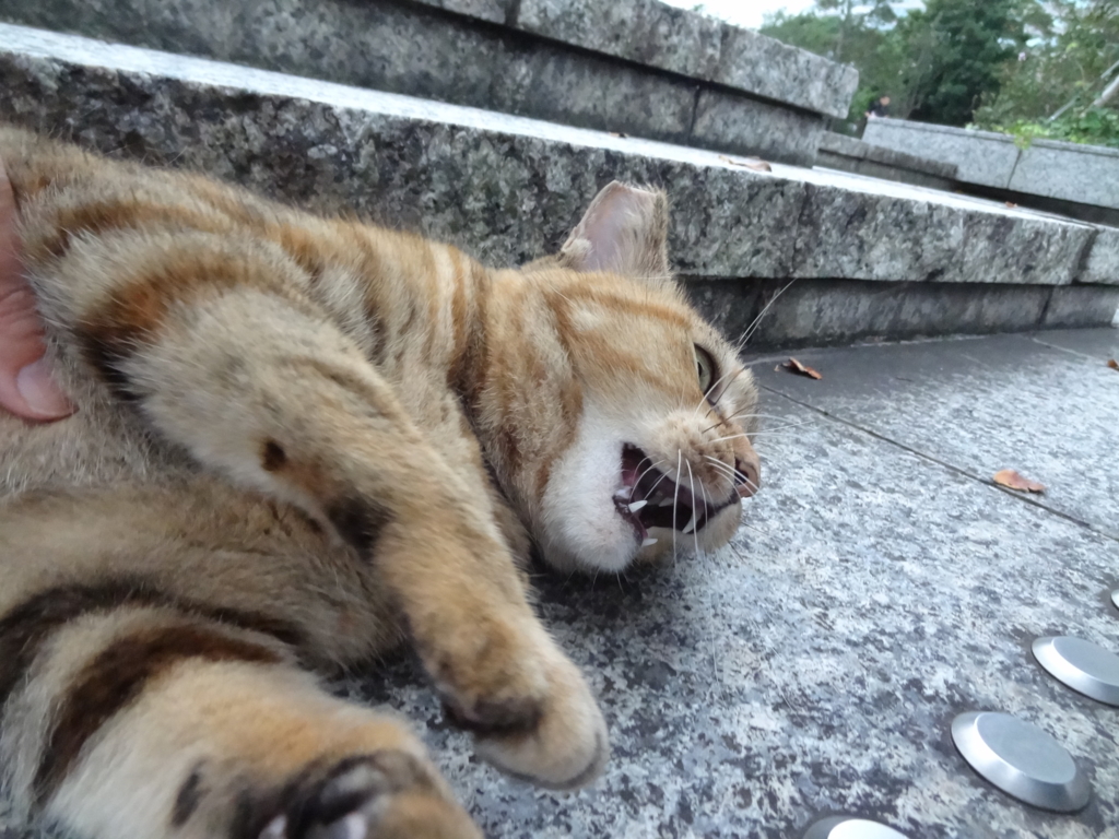 f:id:shigeo-t:20161015032659j:plain