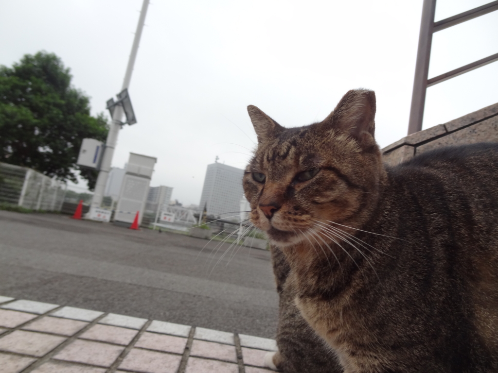 f:id:shigeo-t:20161015034610j:plain