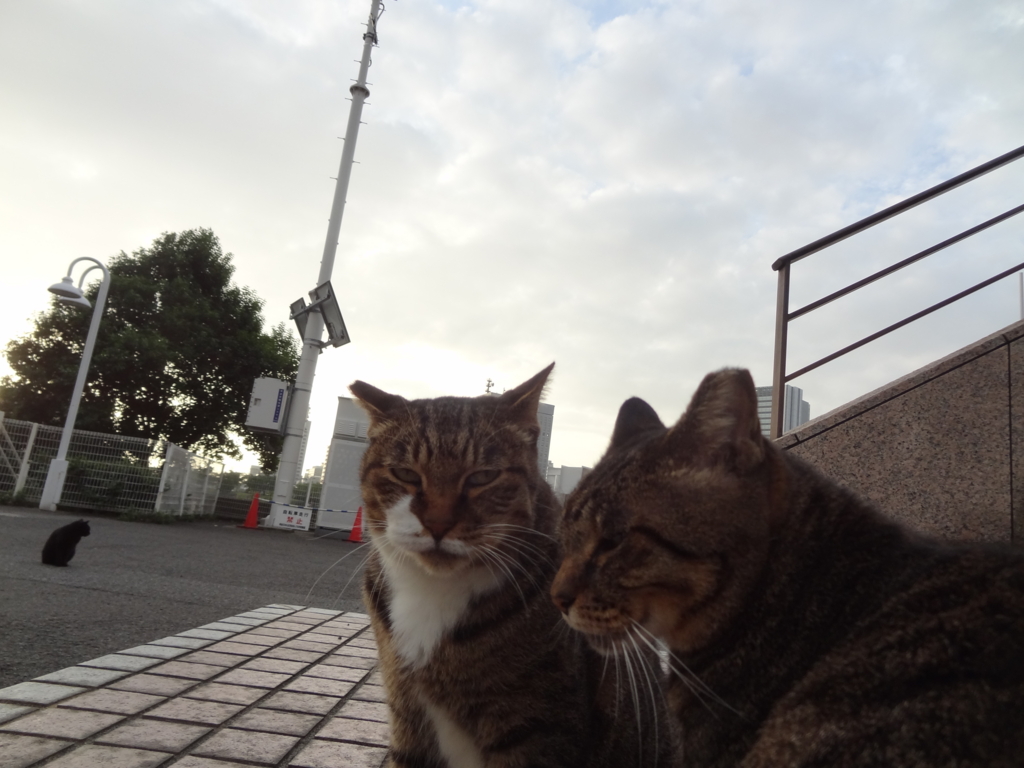 f:id:shigeo-t:20161015041526j:plain
