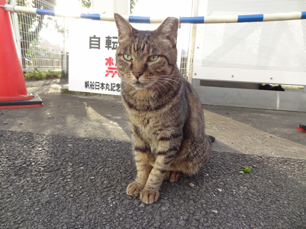 f:id:shigeo-t:20161015044137j:plain