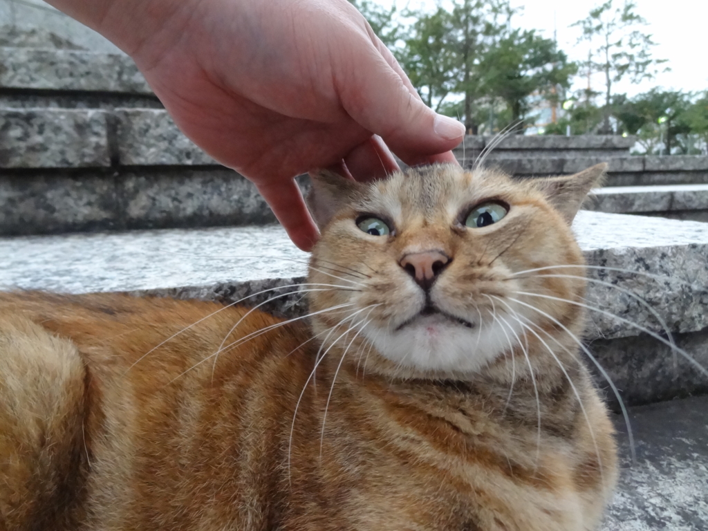 f:id:shigeo-t:20161015045041j:plain