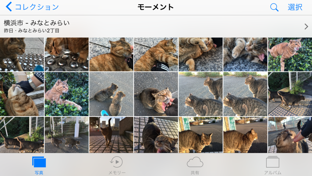 f:id:shigeo-t:20161016040750p:plain
