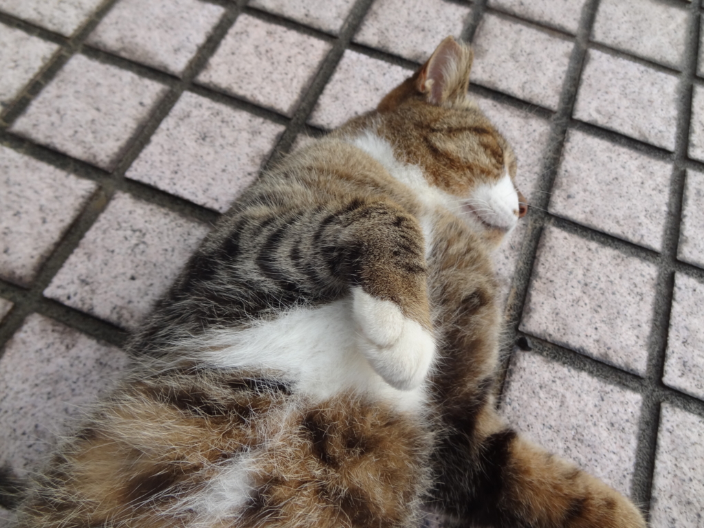 f:id:shigeo-t:20161018034943j:plain