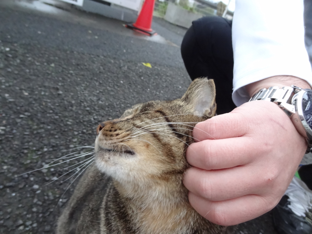f:id:shigeo-t:20161103044354j:plain f:id:shigeo-t:20161103044354j:plain