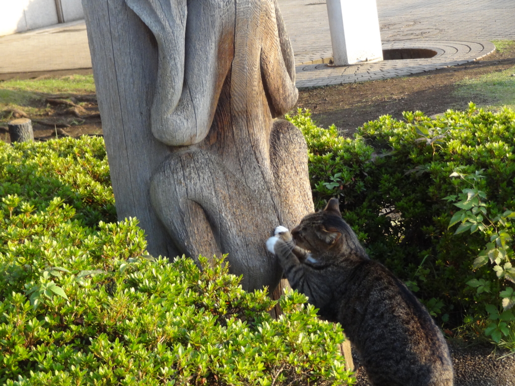 f:id:shigeo-t:20161114035054j:plain f:id:shigeo-t:20161114035054j:plain