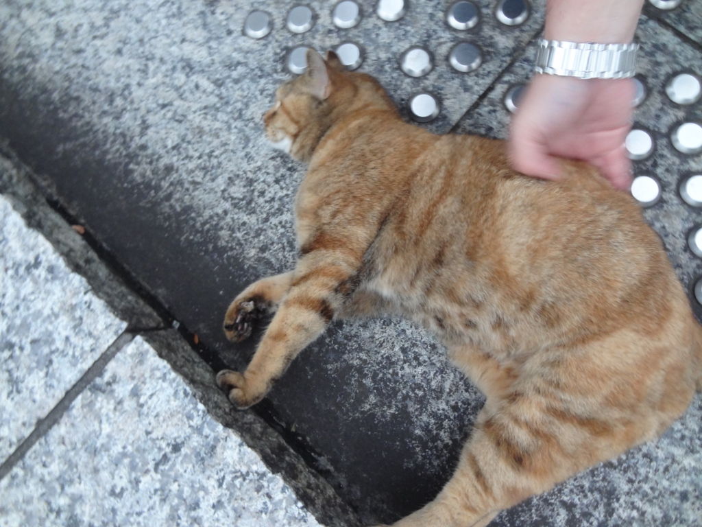 f:id:shigeo-t:20161119041206j:plain