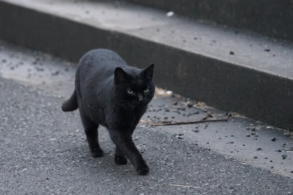 f:id:shigeo-t:20161130024625j:plain