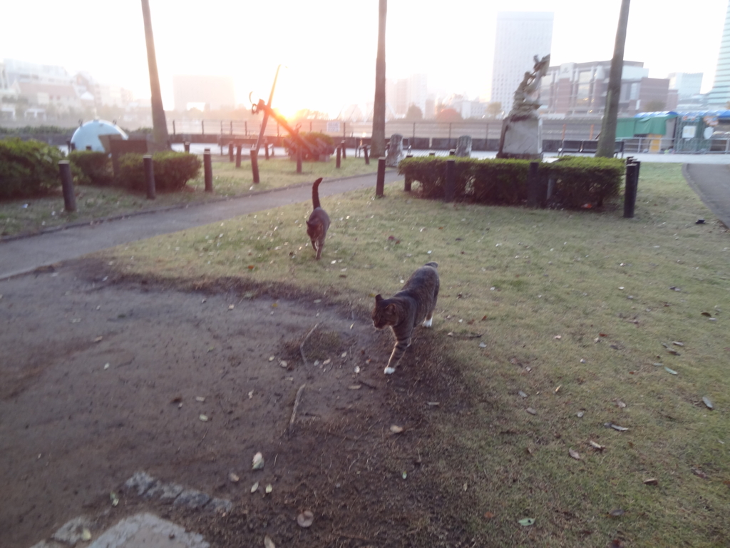 f:id:shigeo-t:20161130034255j:plain