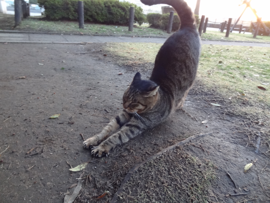 f:id:shigeo-t:20161130034310j:plain