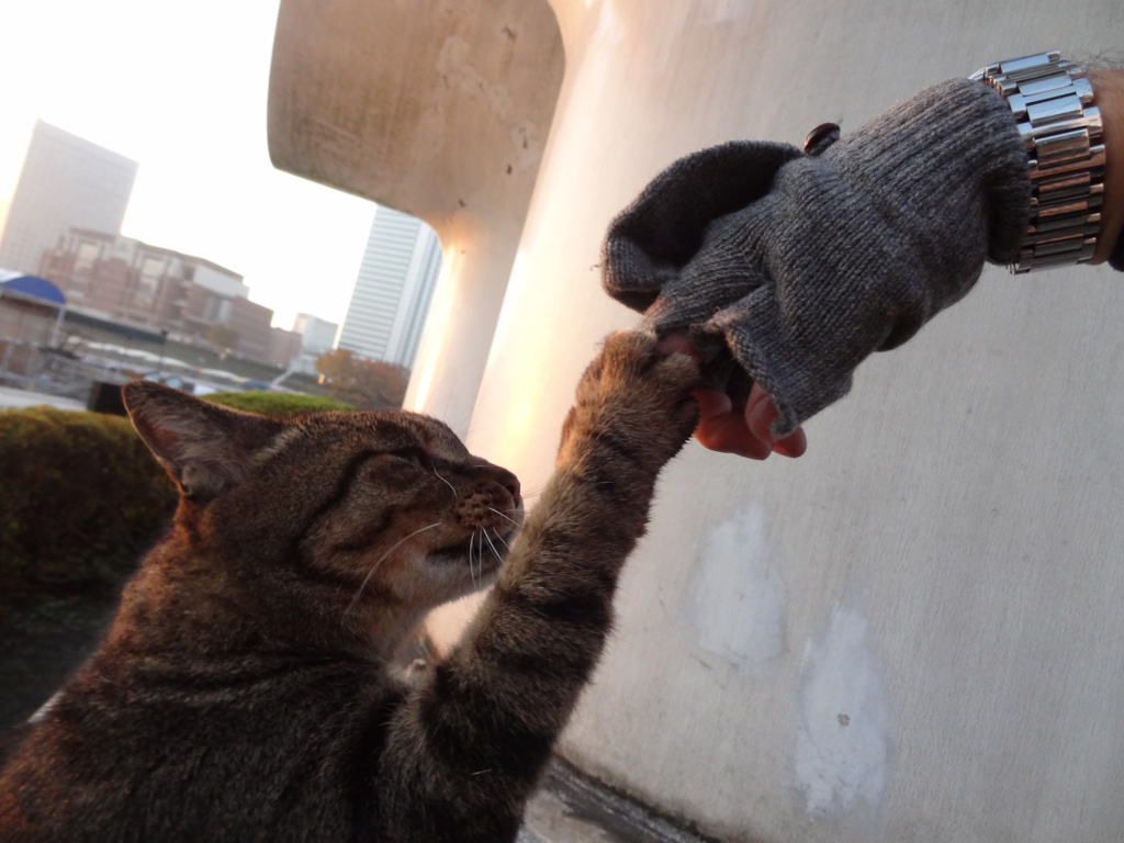 f:id:shigeo-t:20161130034551j:plain