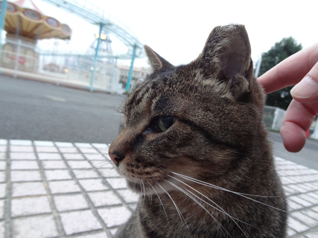 f:id:shigeo-t:20161130040957j:plain