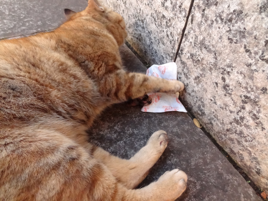 f:id:shigeo-t:20161203034327j:plain f:id:shigeo-t:20161203034327j:plain