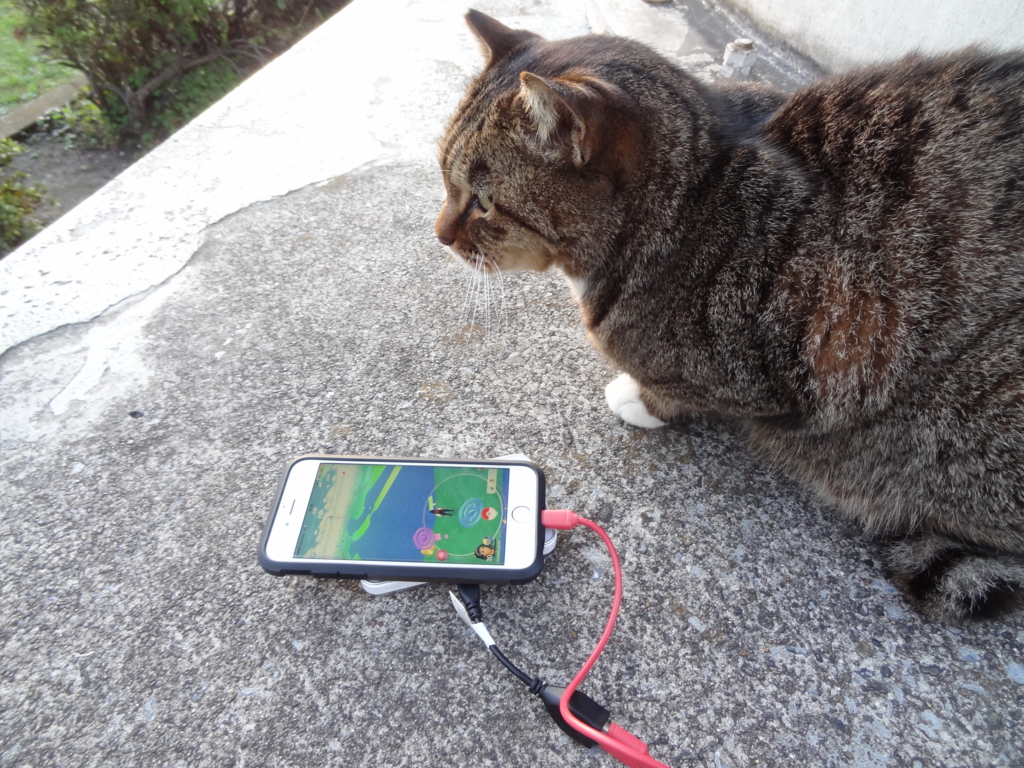 f:id:shigeo-t:20161203045513j:plain f:id:shigeo-t:20161203045513j:plain