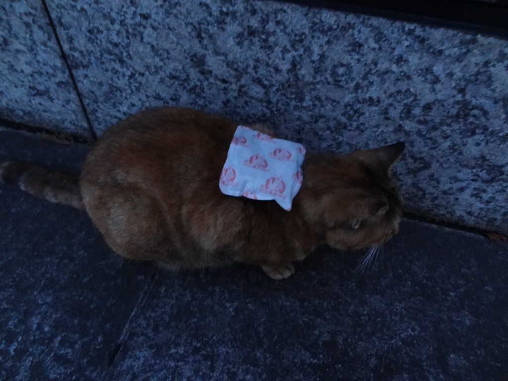 f:id:shigeo-t:20161217020745j:plain