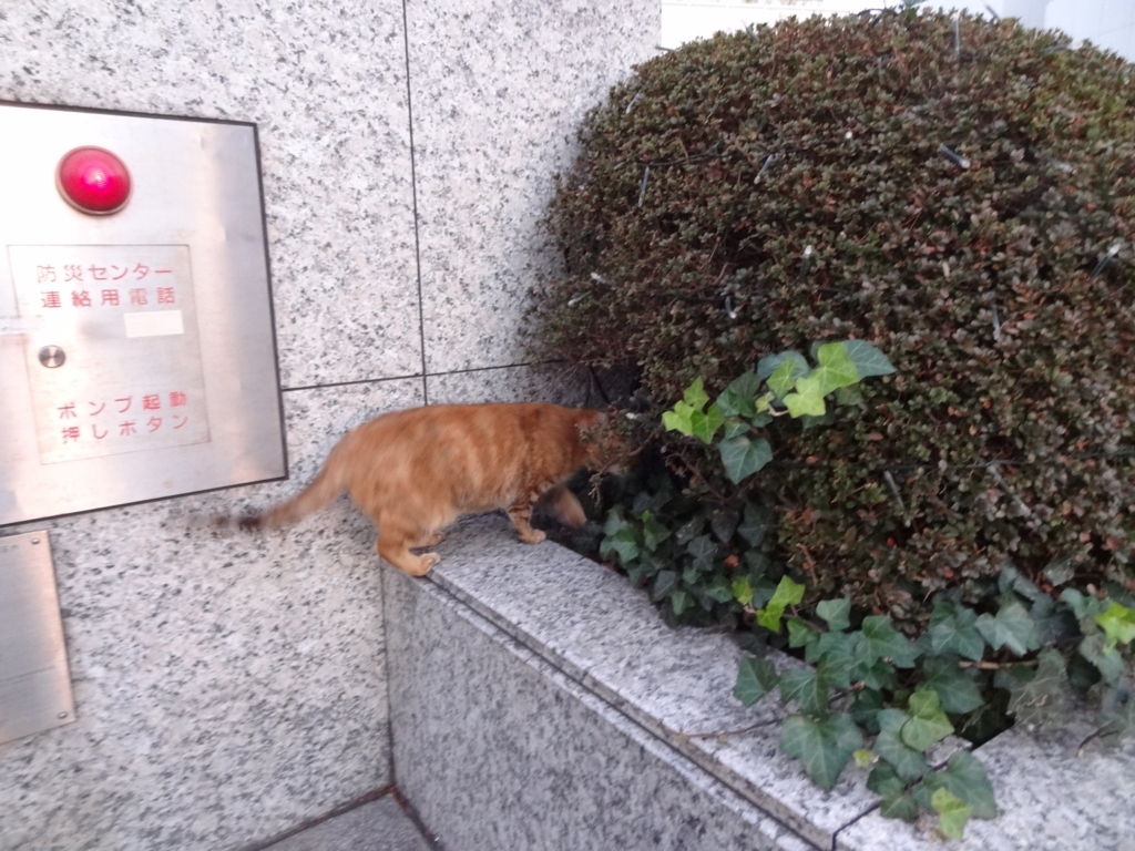 f:id:shigeo-t:20161217023106j:plain