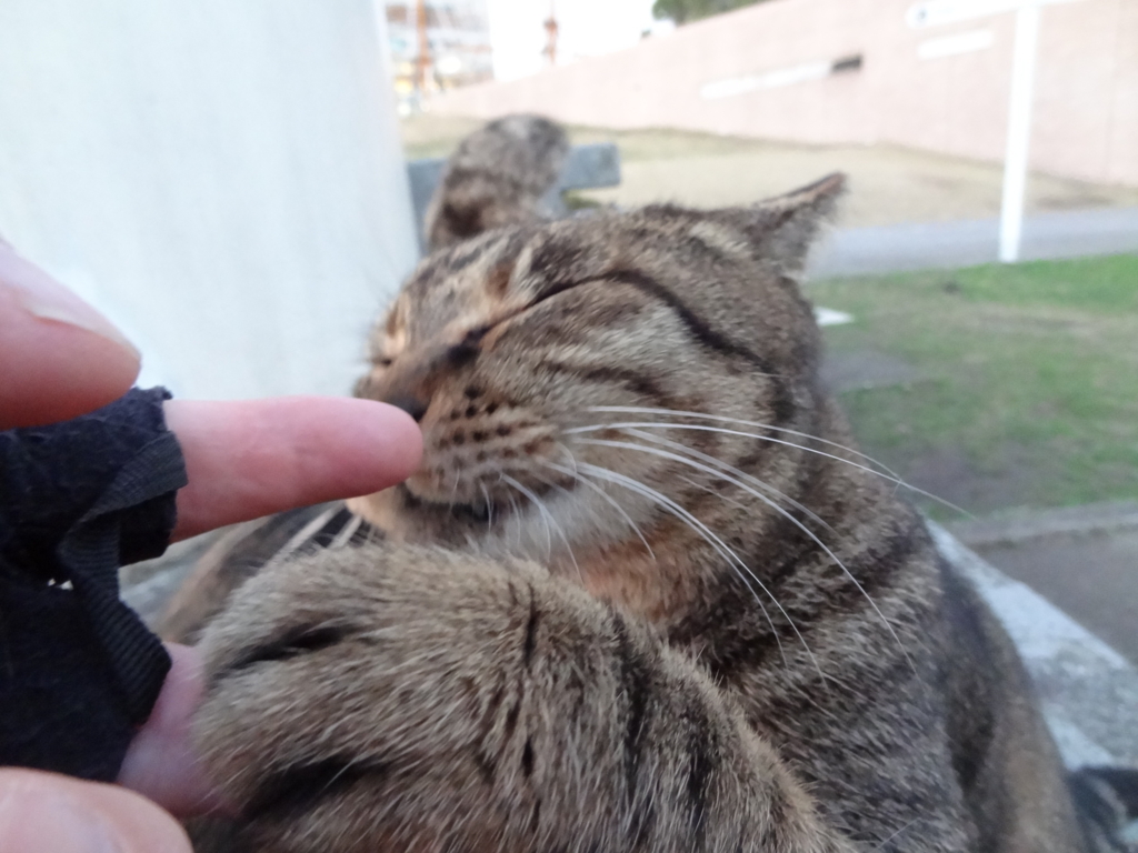 f:id:shigeo-t:20161217023547j:plain