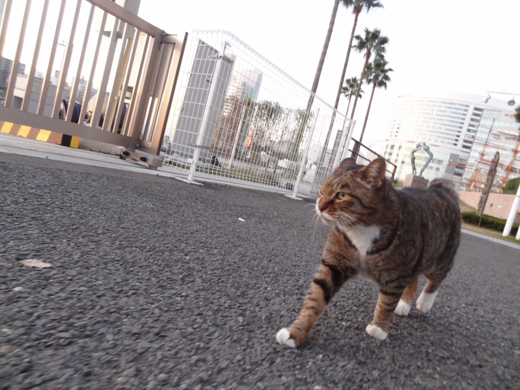 f:id:shigeo-t:20161217023650j:plain