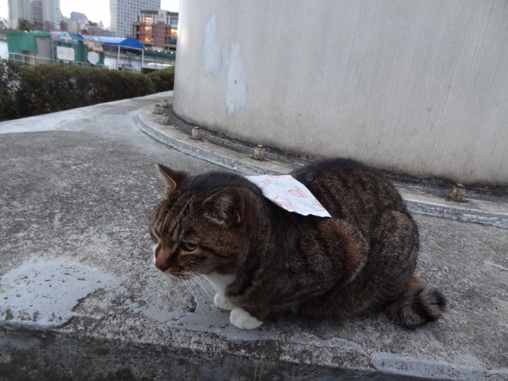 f:id:shigeo-t:20161217030909j:plain