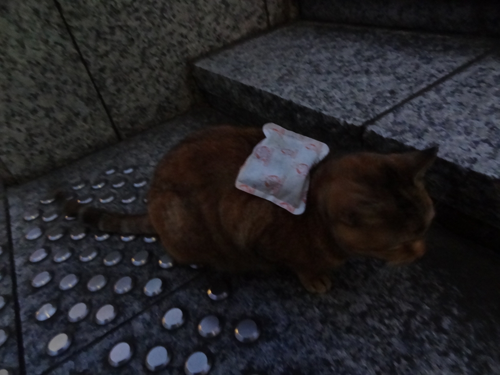 f:id:shigeo-t:20161231025555j:plain f:id:shigeo-t:20161231025555j:plain