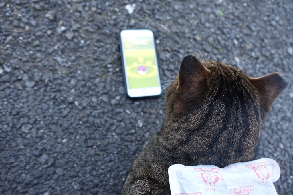 f:id:shigeo-t:20161231042008j:plain f:id:shigeo-t:20161231042008j:plain