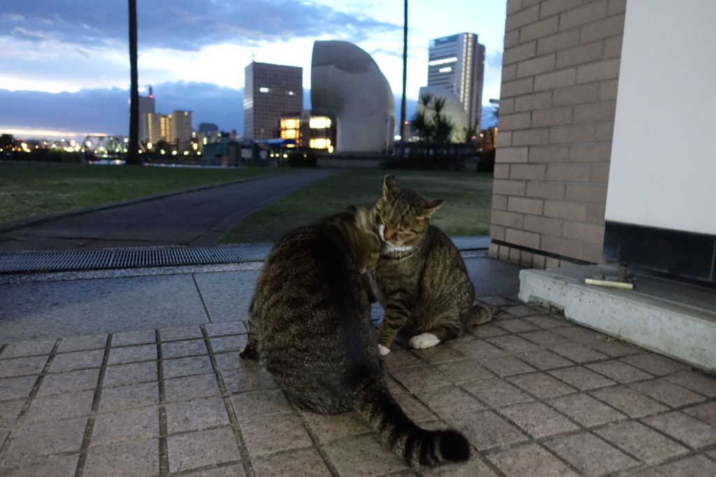 f:id:shigeo-t:20161231152749j:plain f:id:shigeo-t:20161231152749j:plain