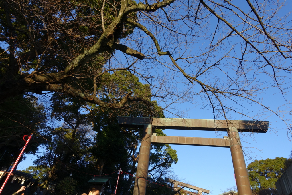 f:id:shigeo-t:20170101111453j:plain f:id:shigeo-t:20170101111453j:plain