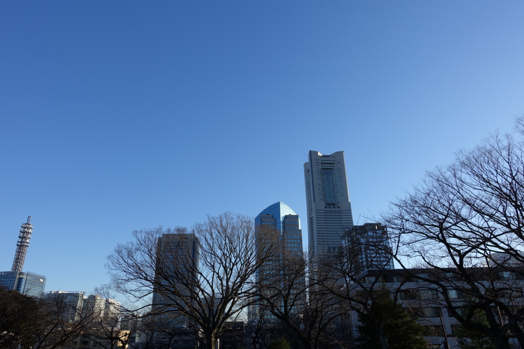 f:id:shigeo-t:20170101112148j:plain f:id:shigeo-t:20170101112148j:plain