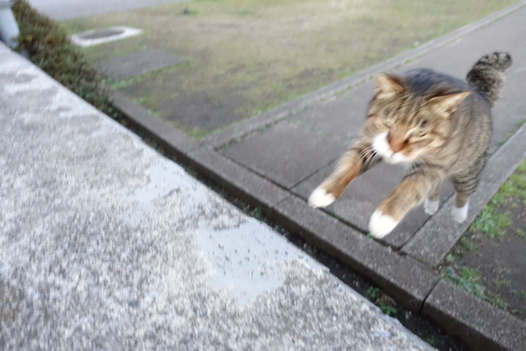 f:id:shigeo-t:20170118041047j:plain f:id:shigeo-t:20170118041047j:plain