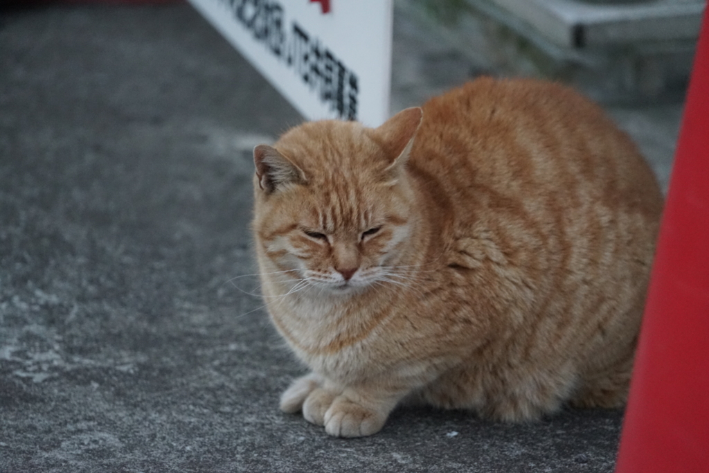 f:id:shigeo-t:20170118042241j:plain f:id:shigeo-t:20170118042241j:plain