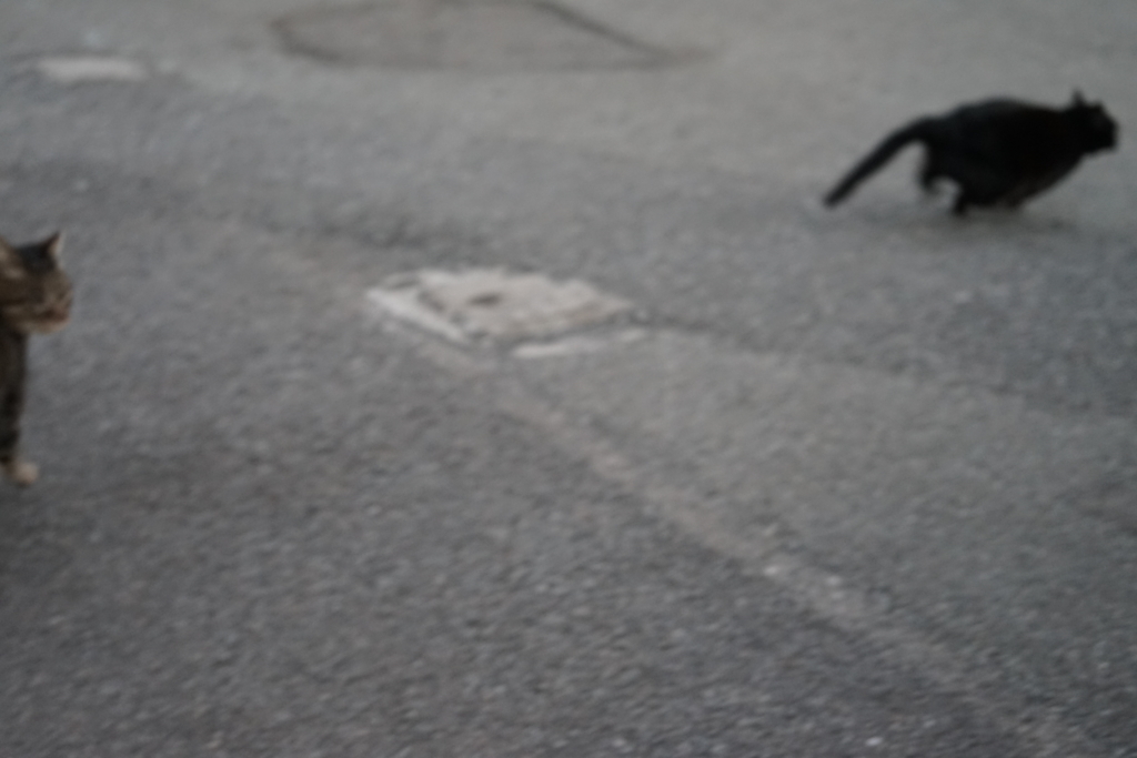 f:id:shigeo-t:20170118042420j:plain f:id:shigeo-t:20170118042420j:plain