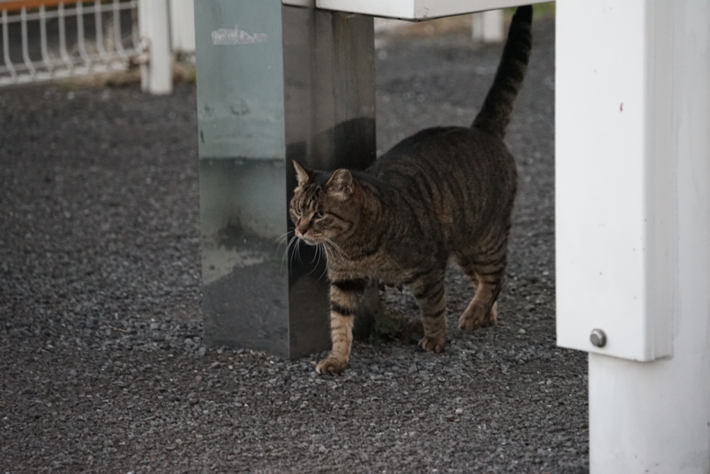 f:id:shigeo-t:20170118044355j:plain f:id:shigeo-t:20170118044355j:plain