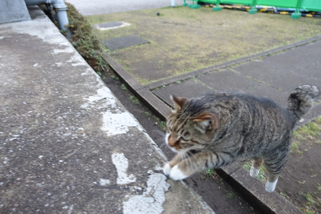 f:id:shigeo-t:20170219035706j:plain f:id:shigeo-t:20170219035706j:plain