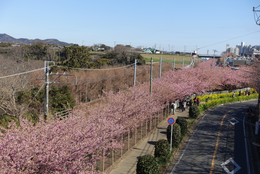 f:id:shigeo-t:20170220033150j:plain f:id:shigeo-t:20170220033150j:plain