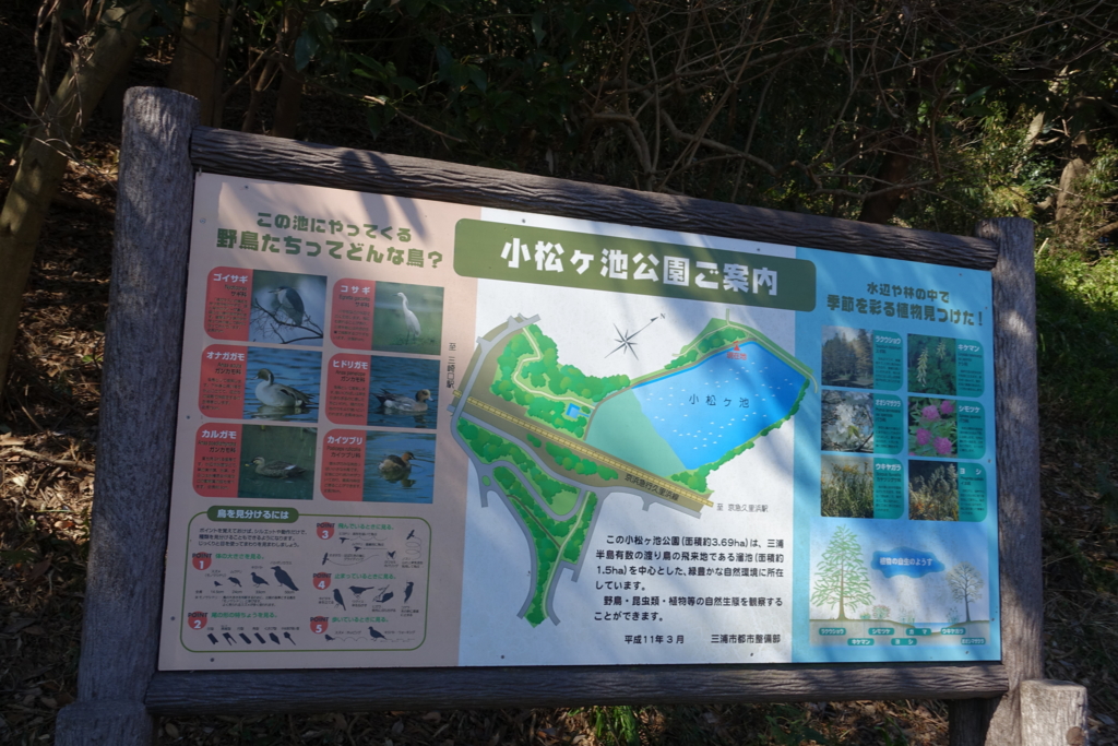 f:id:shigeo-t:20170220033444j:plain f:id:shigeo-t:20170220033444j:plain