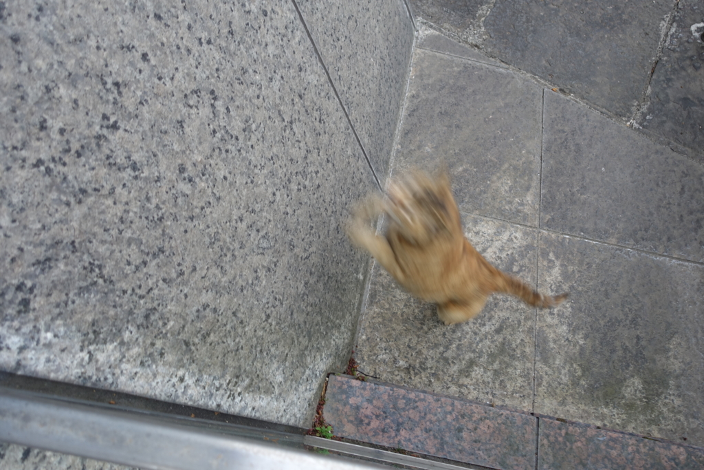 f:id:shigeo-t:20170430033931j:plain