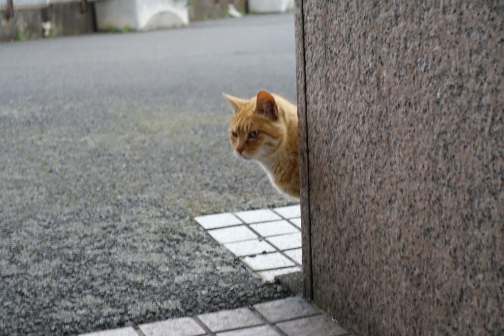 f:id:shigeo-t:20170430035507j:plain