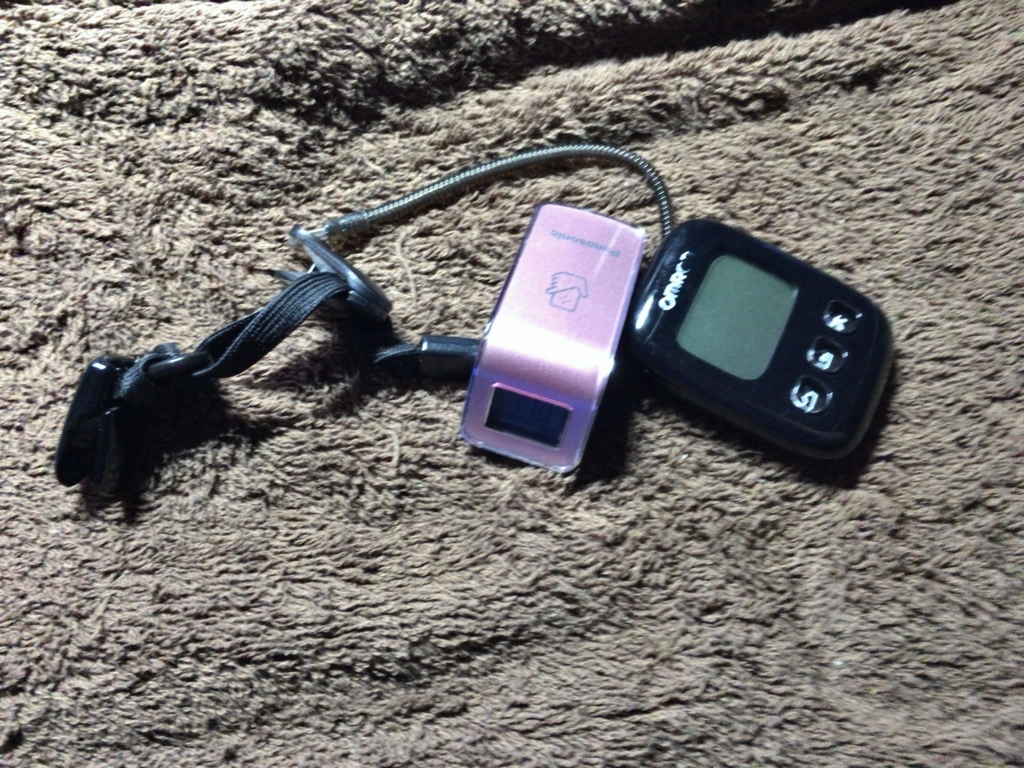 f:id:shigeo-t:20170608015236j:plain