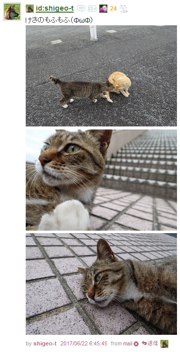 f:id:shigeo-t:20170623013131p:plain
