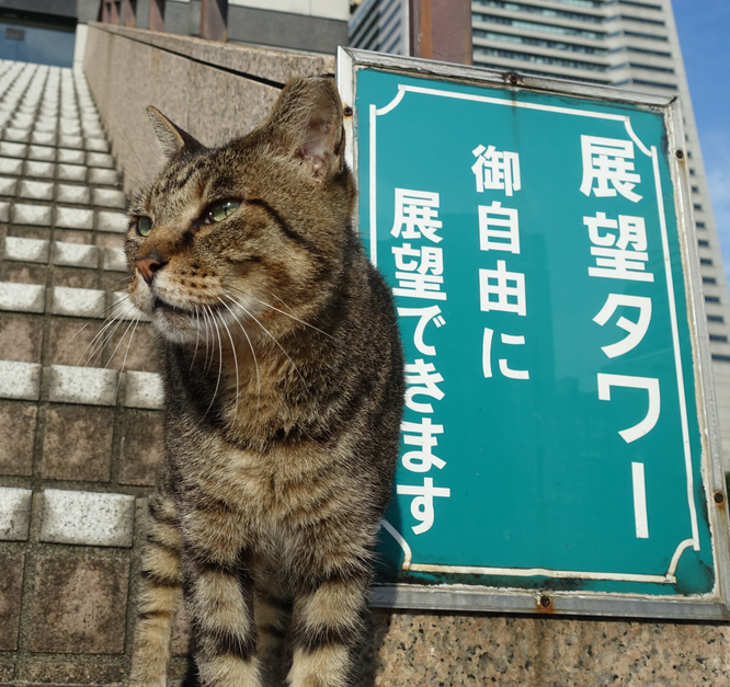 f:id:shigeo-t:20170802042148p:plain