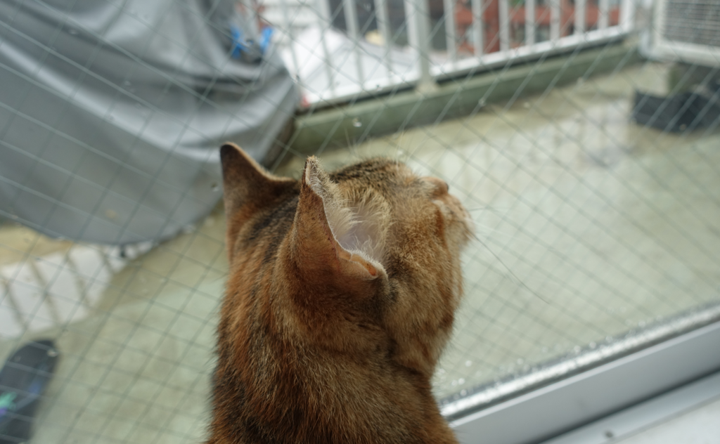 f:id:shigeo-t:20170821035603p:plain