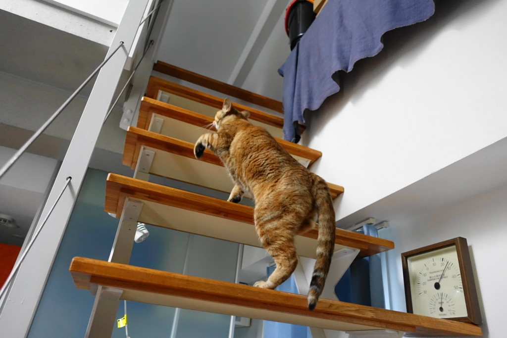 f:id:shigeo-t:20170907020808j:plain