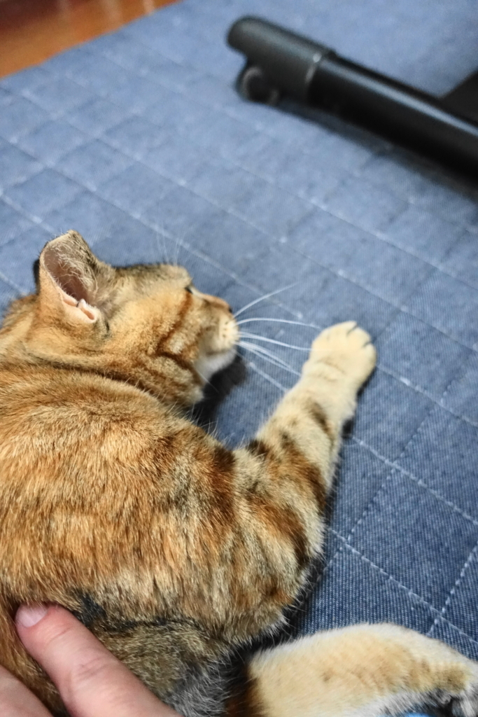 f:id:shigeo-t:20170907020905j:plain