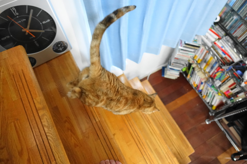 f:id:shigeo-t:20170907022325j:plain