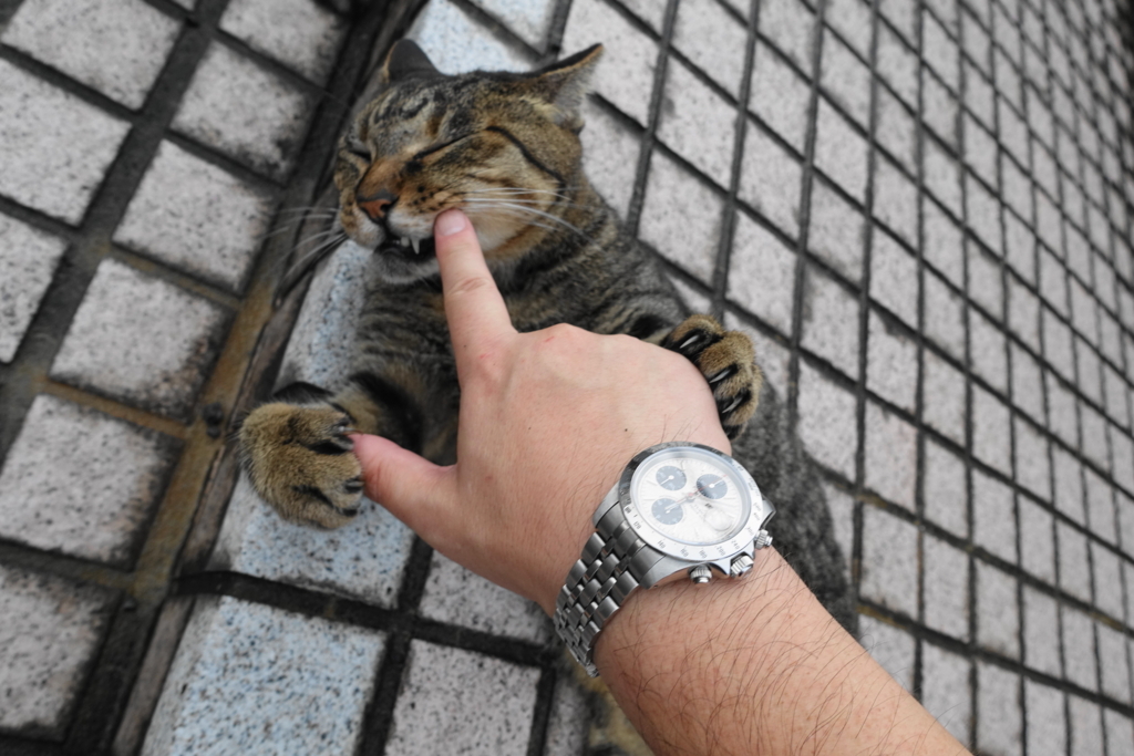 f:id:shigeo-t:20170917193508j:plain f:id:shigeo-t:20170917193508j:plain