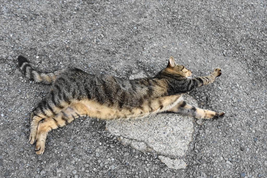 f:id:shigeo-t:20170917195044j:plain f:id:shigeo-t:20170917195044j:plain