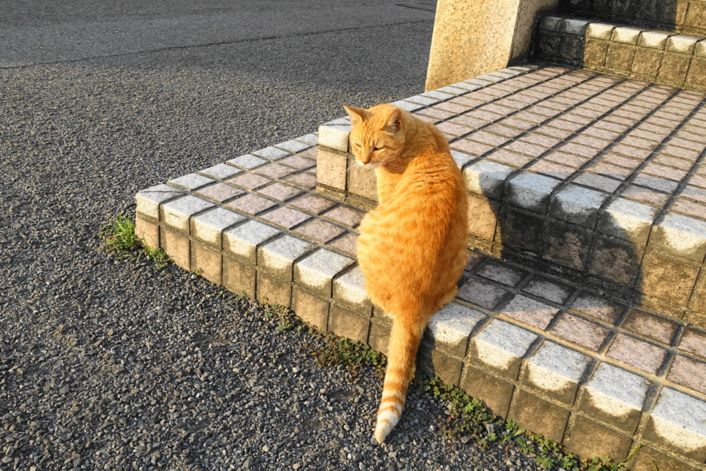 f:id:shigeo-t:20171001102314j:plain f:id:shigeo-t:20171001102314j:plain