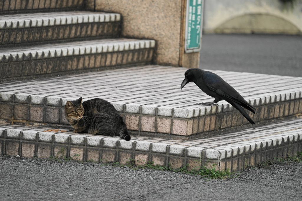 f:id:shigeo-t:20171001104834j:plain f:id:shigeo-t:20171001104834j:plain