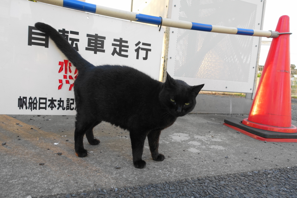 f:id:shigeo-t:20171016113343j:plain f:id:shigeo-t:20171016113343j:plain